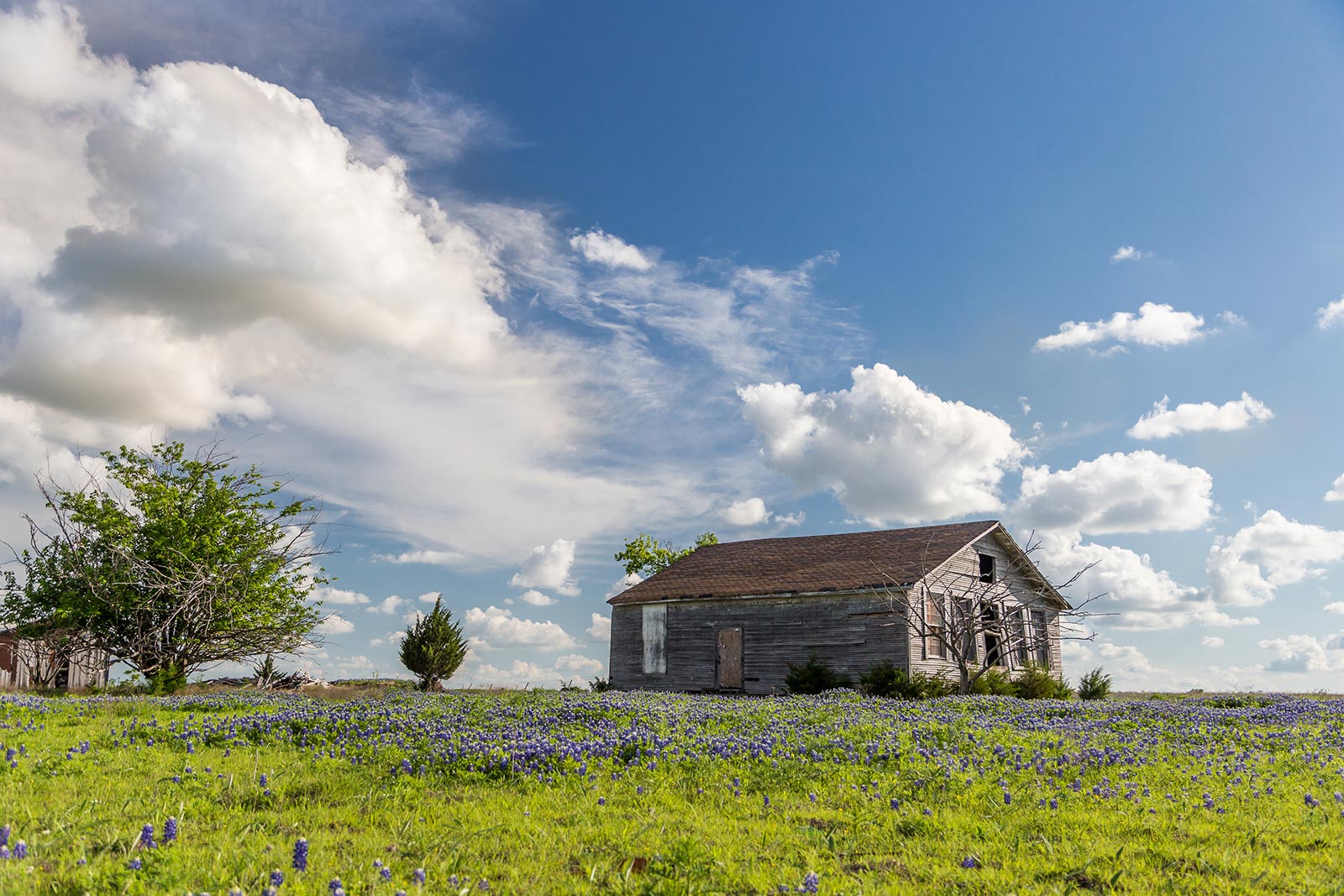 AdobeStock_114353292.jpeg