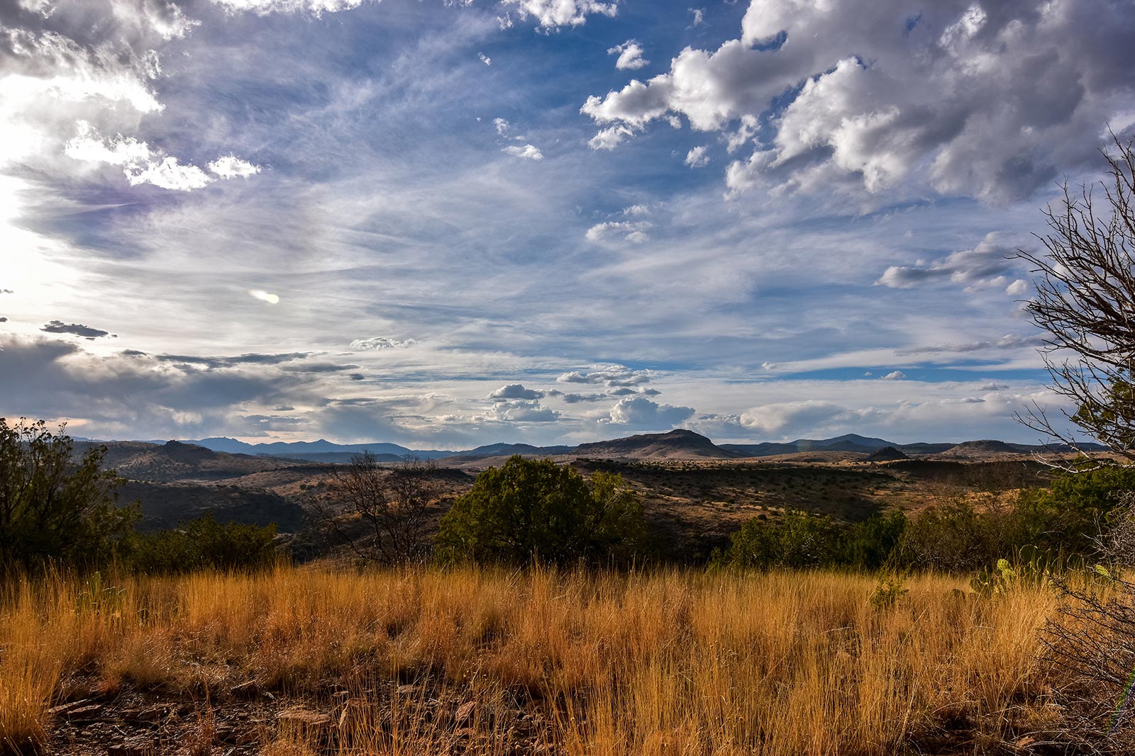 AdobeStock_181305383.jpeg