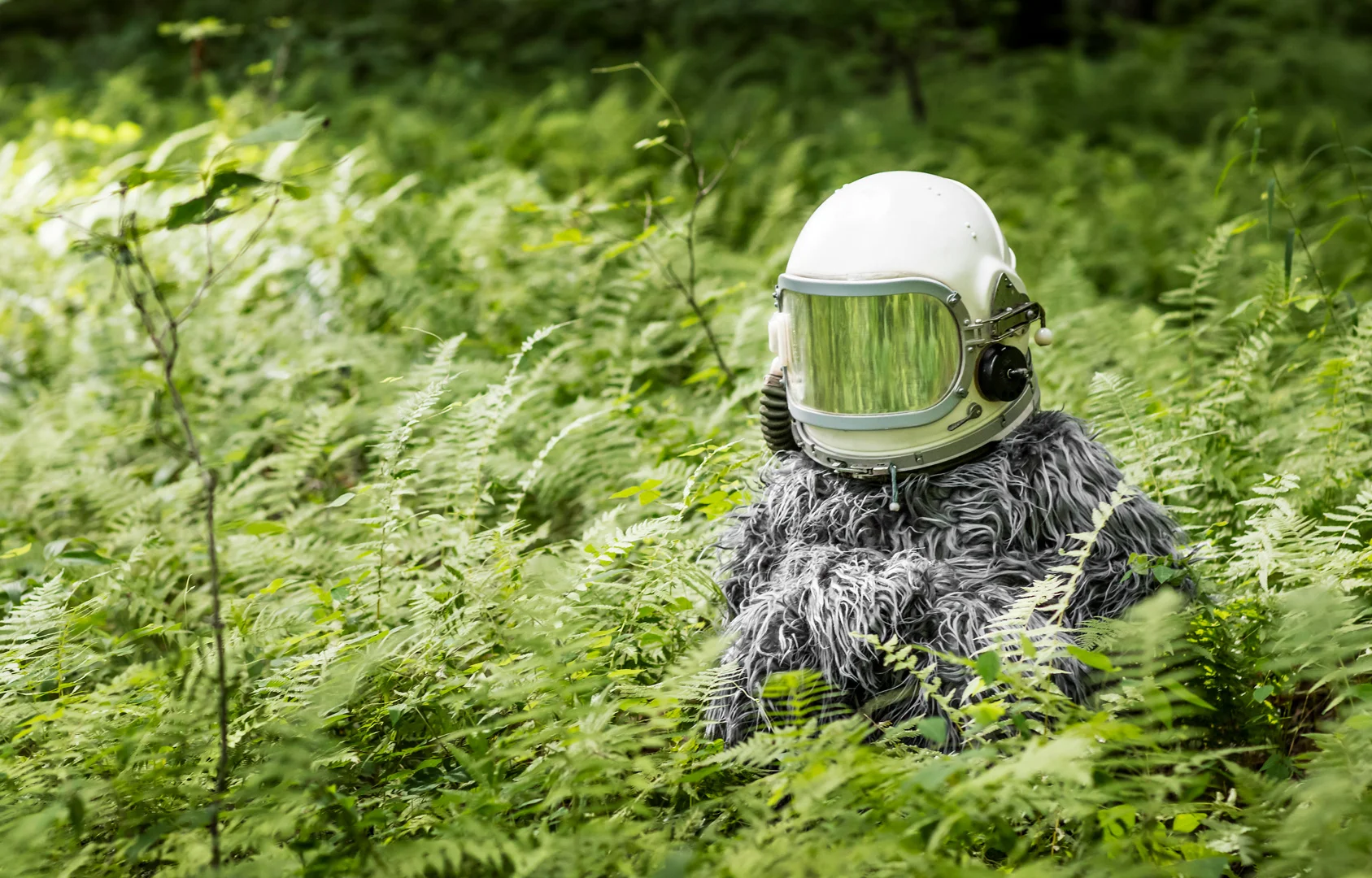 todd-bates-photo_space-squatch_bigfoot-2.jpg
