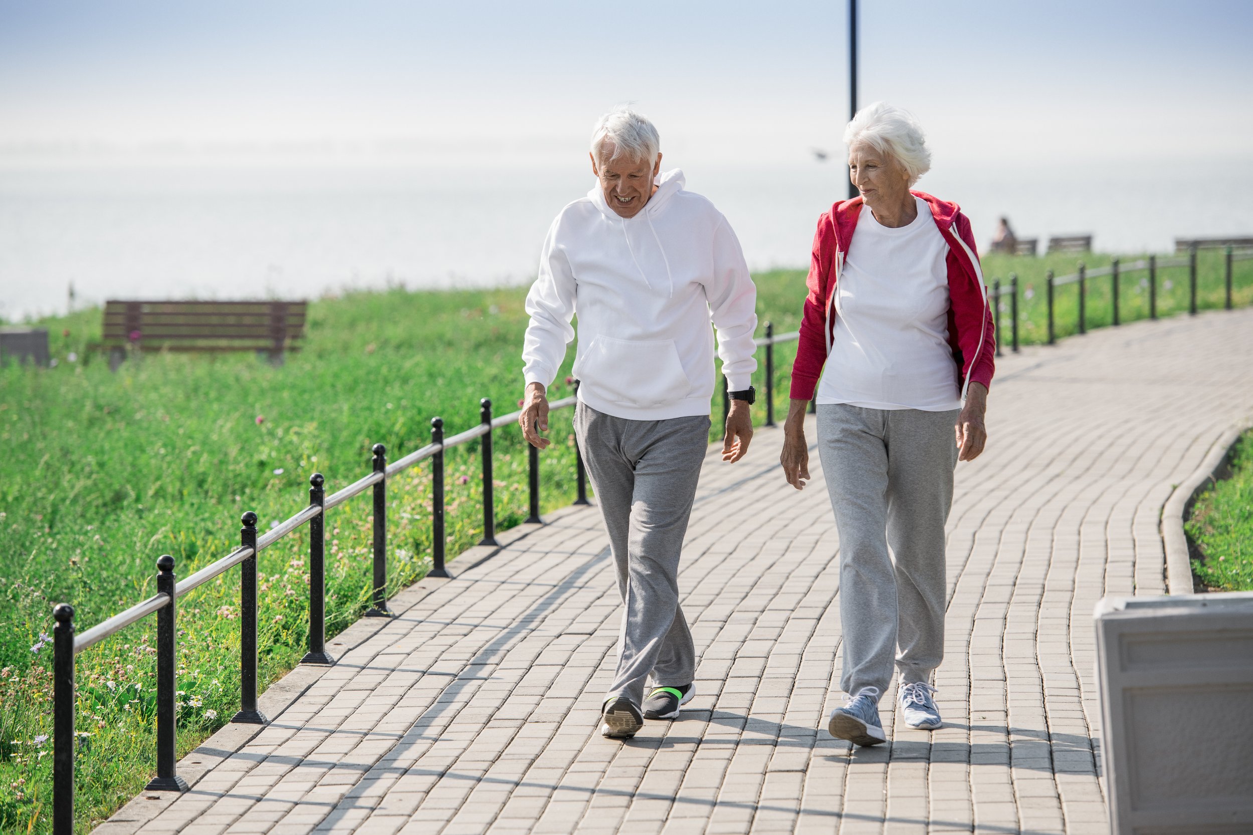  How the Aging Network is Promoting Social Connection 