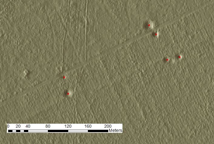 Figure 2: Modèle numérique de terrain montrant des cratères de bombes appariés près d'une route forestière dans la forêt domaniale de la Londe-Rouvray (basse vallée de la Seine). Celles-ci reflètent vraisemblablement des attaques contre des véhicules allemands par des chasseurs-bombardiers menant des missions de «reconnaissance armée» (données fournies par l'Office national des forêts).