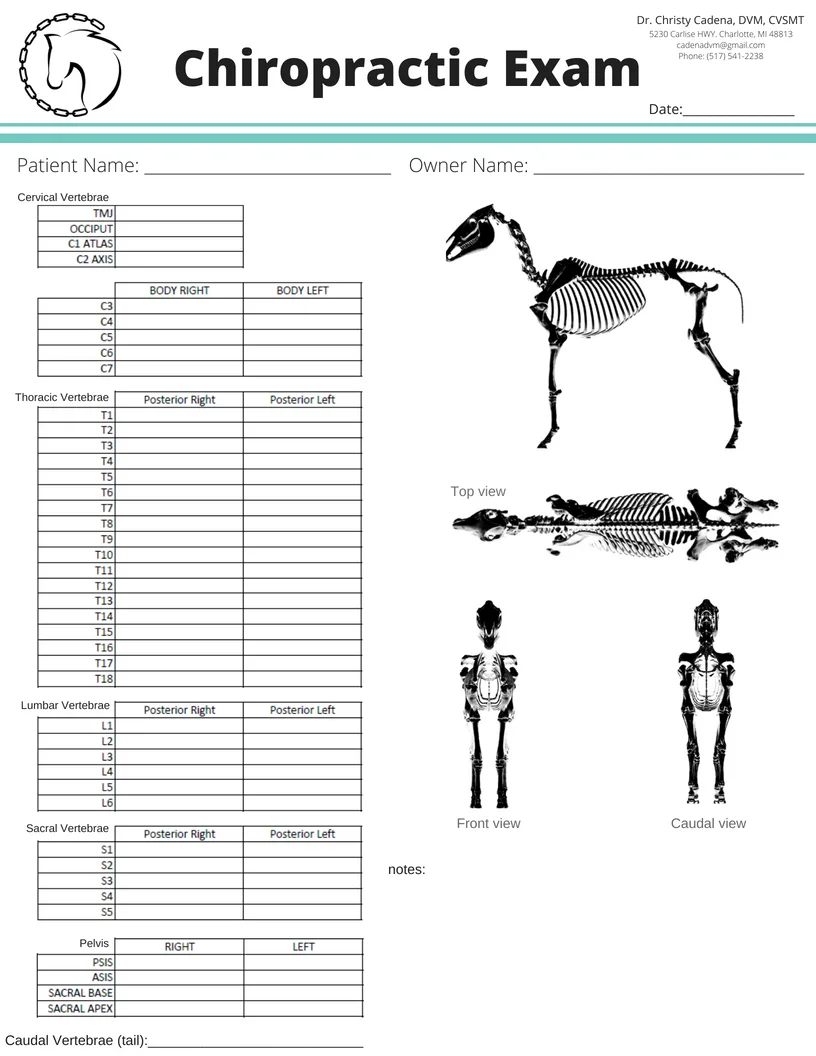 Chiropractic Exam Form 2.jpg