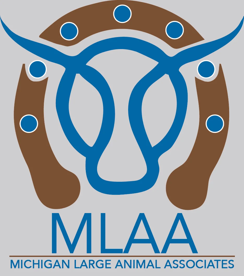 MLAA_Color.jpg
