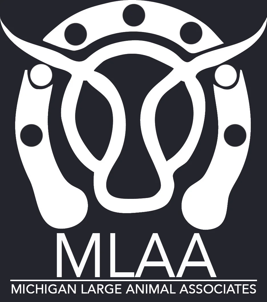 MLAA_OneColor.jpg