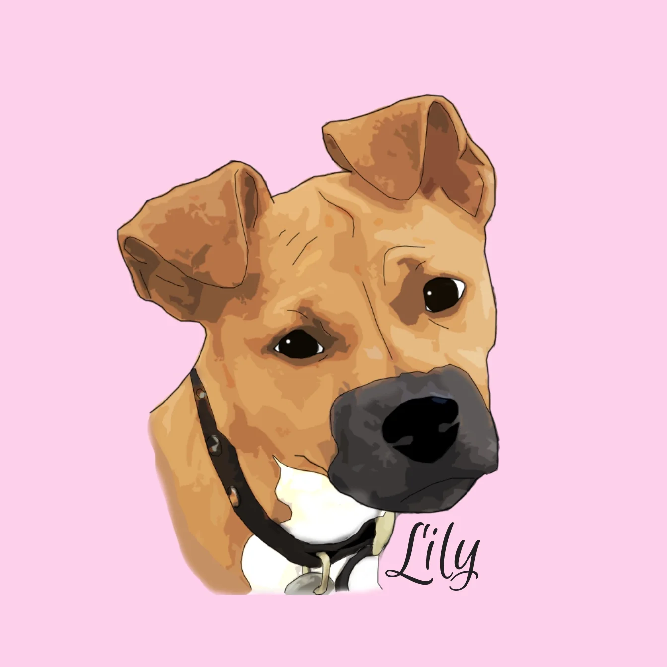 lilly pillow.jpg