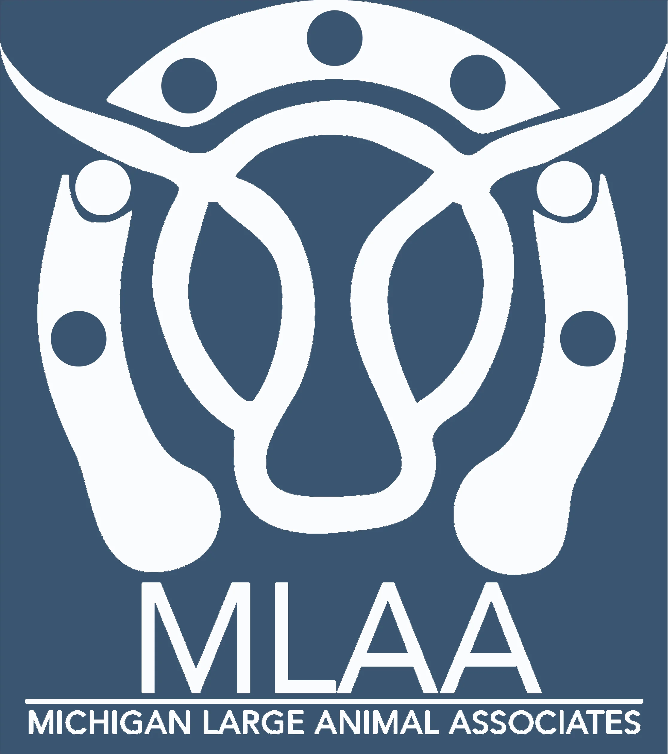 MLAA_BlueBackground.jpg