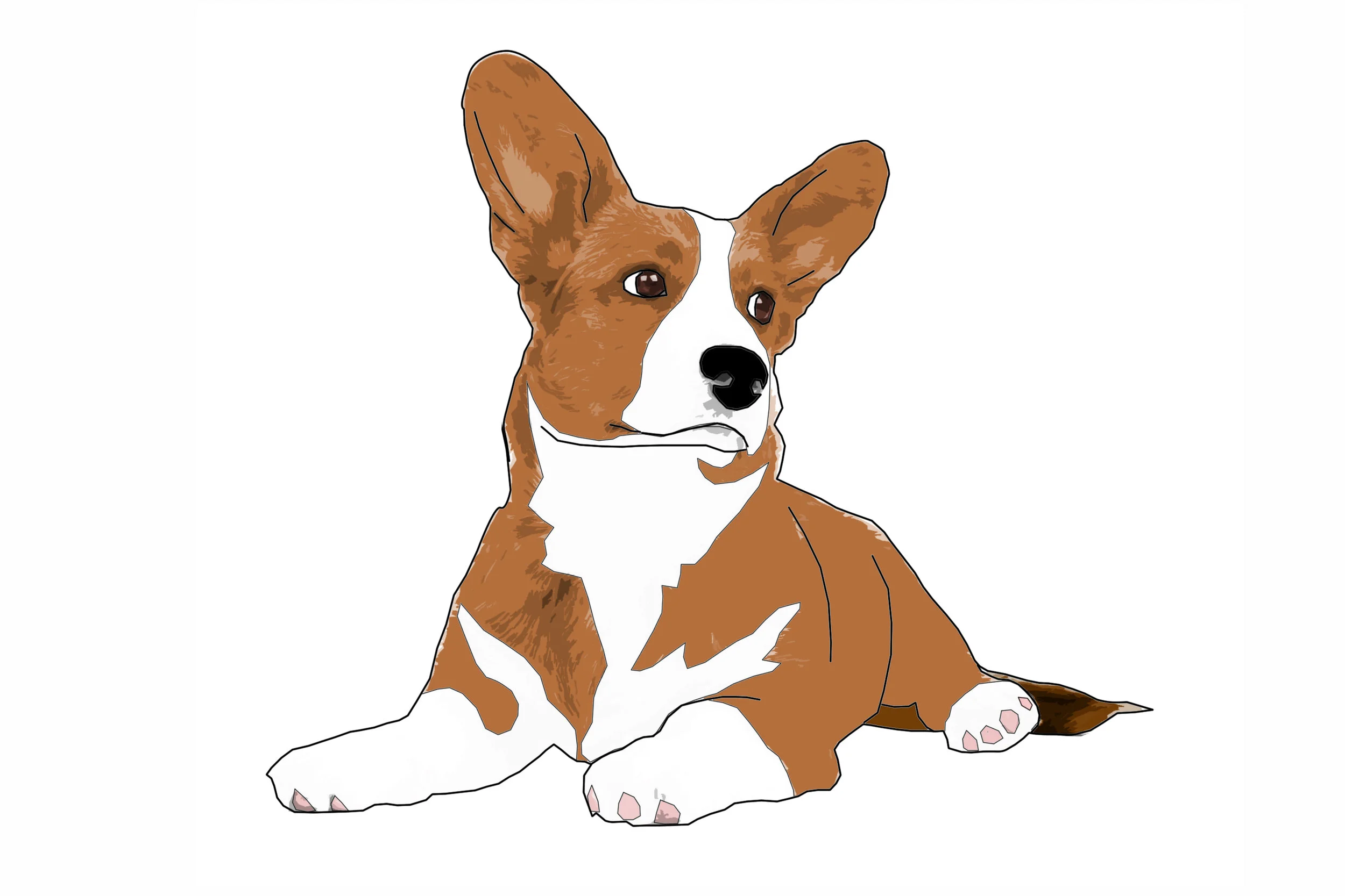 corgi.jpg