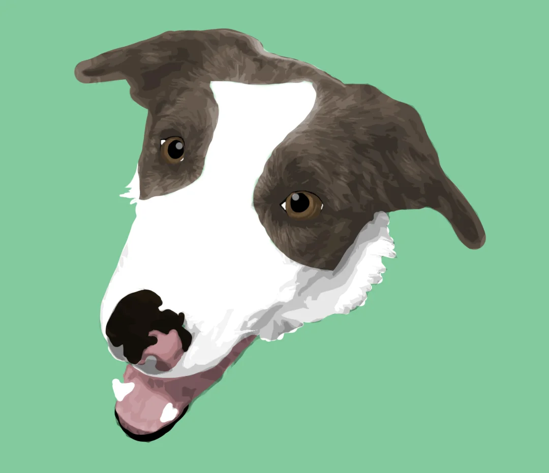 dog2.jpg