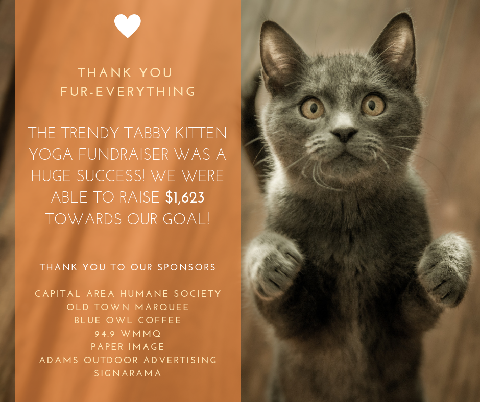 Thank_you_-_Kitten_Yoga.png