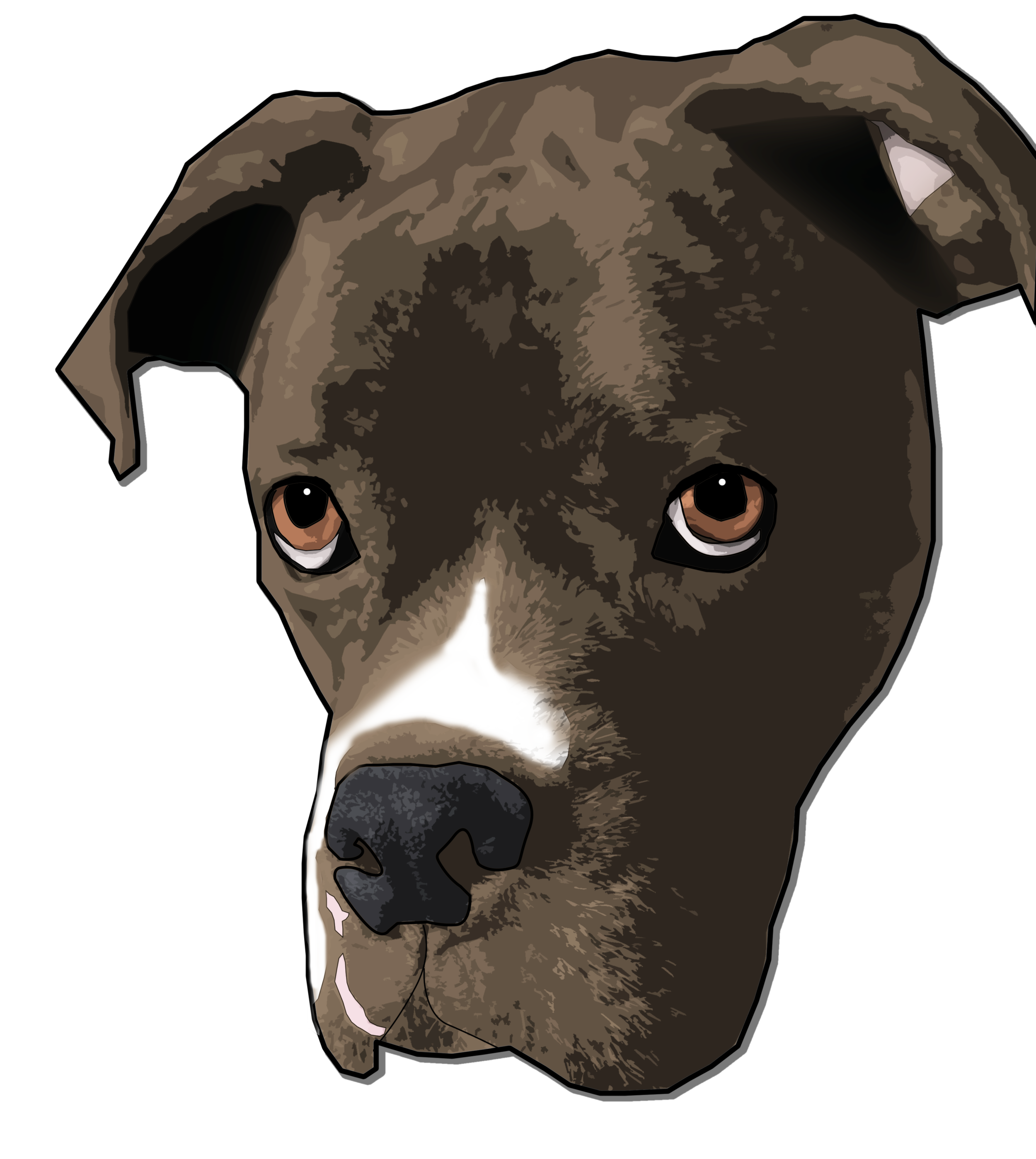 IMG_0050.png