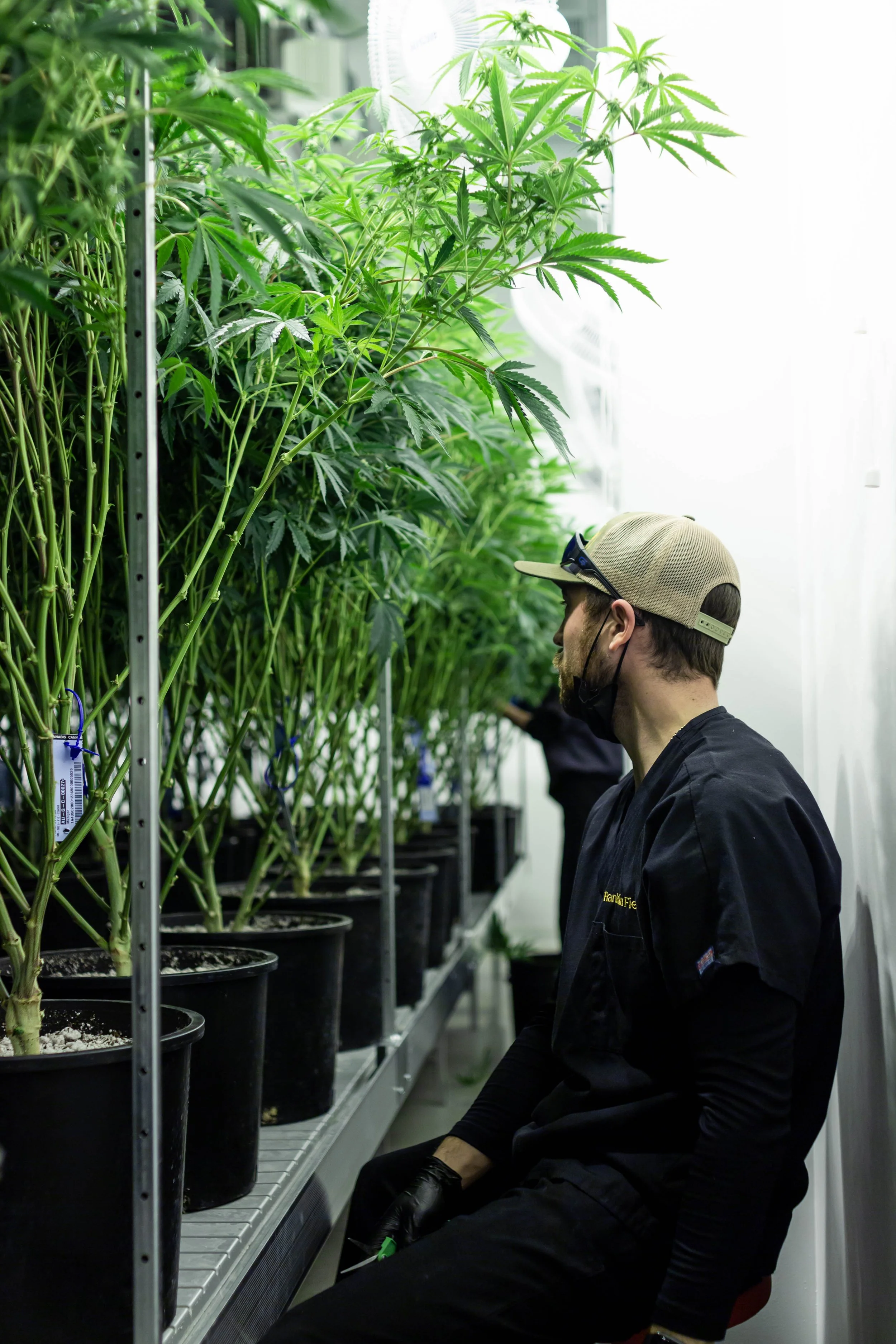 IMG_5141.jpg