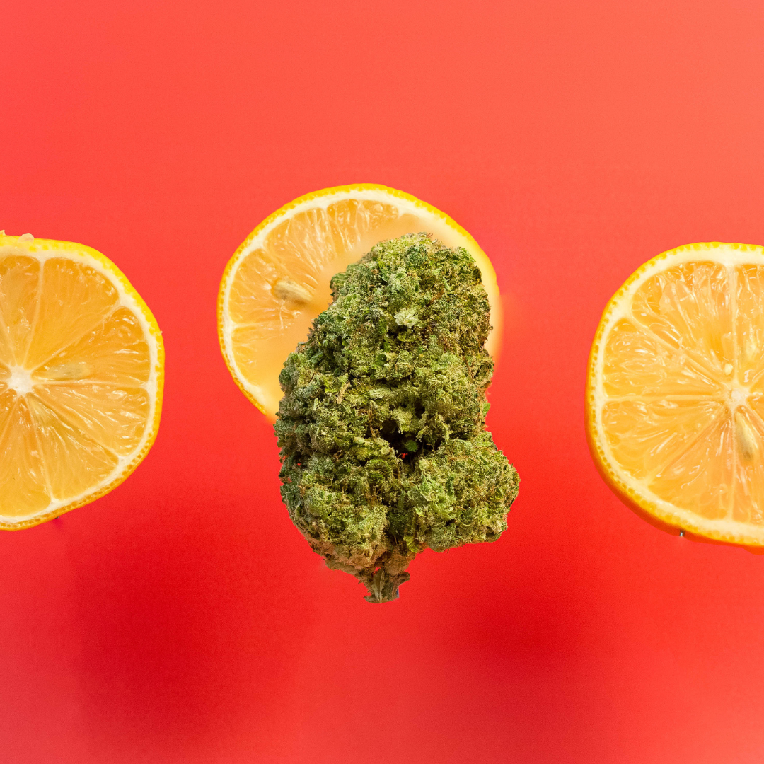 Lemon G.png