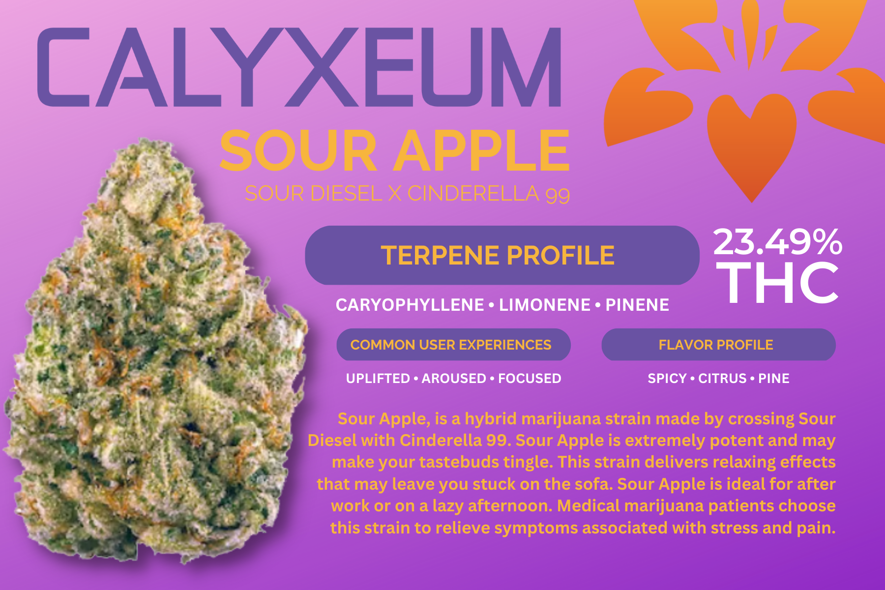 Calyxeum_Strain Display Cards_Dec22.png