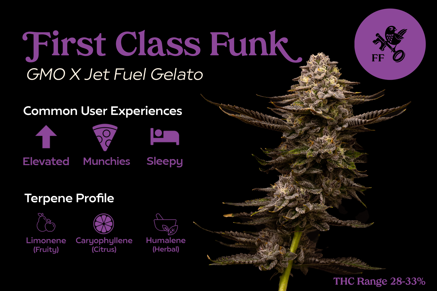 FF - First Class Funk - Front.png