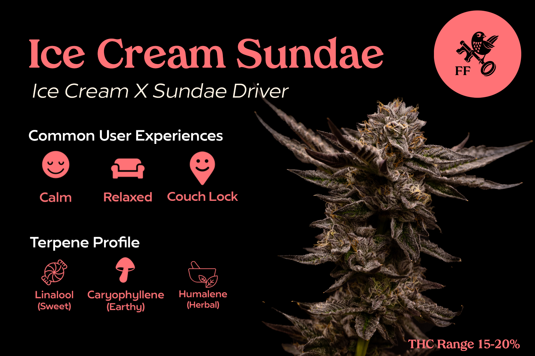 FF - Ice Cream Sundae - Front.png