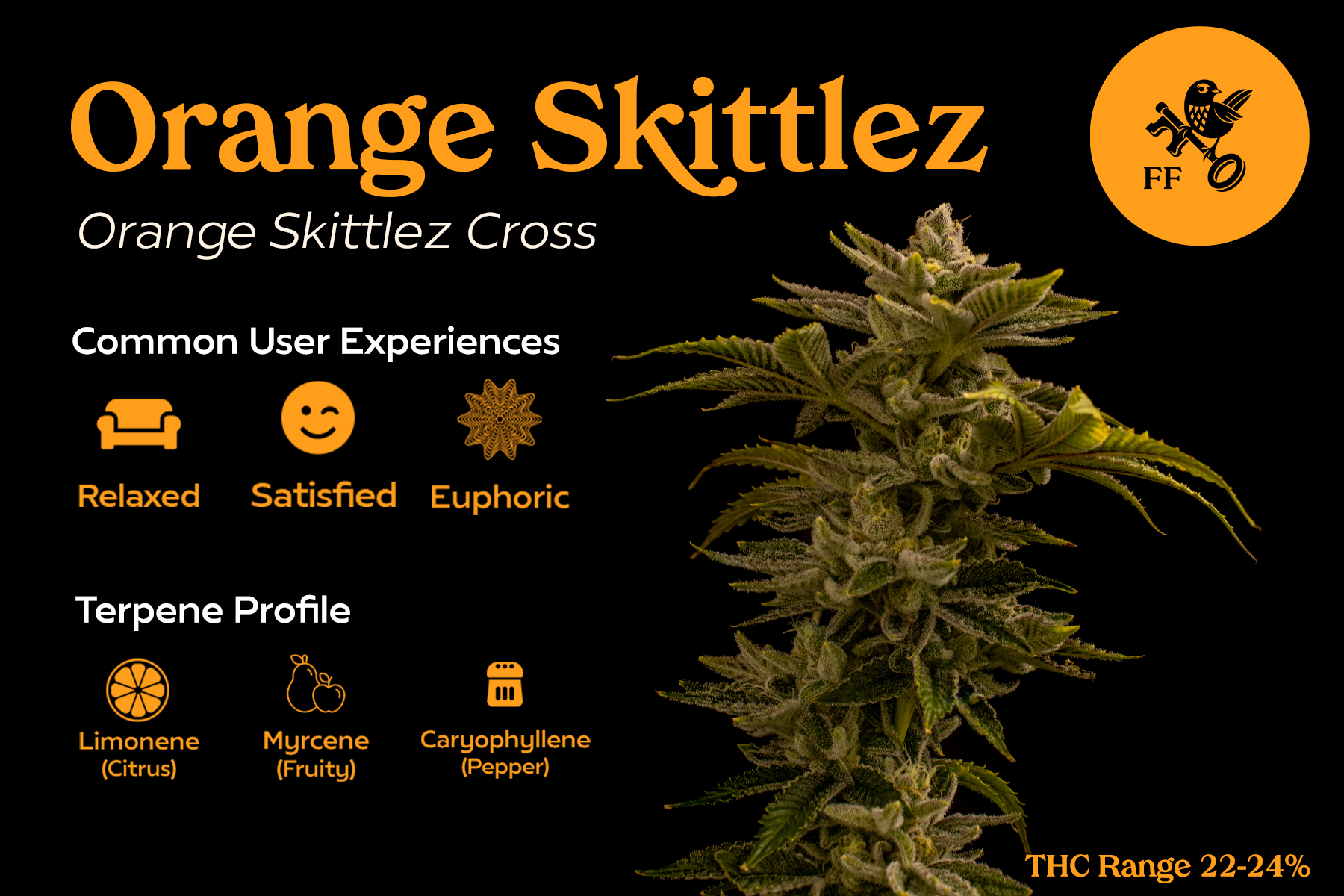 FF - Orange Skittlez - Front.png