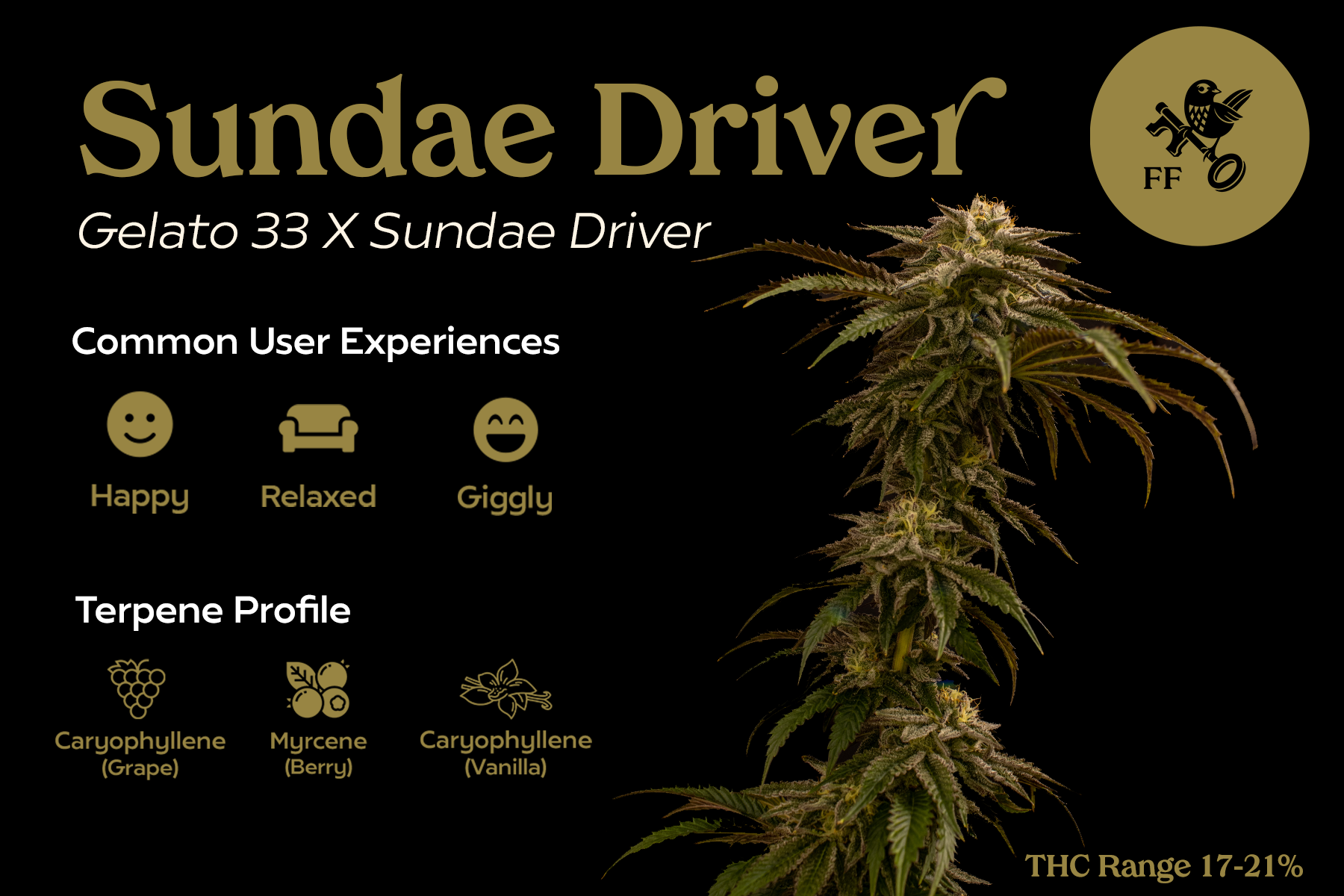 FF - Sundae Driver - Front.png
