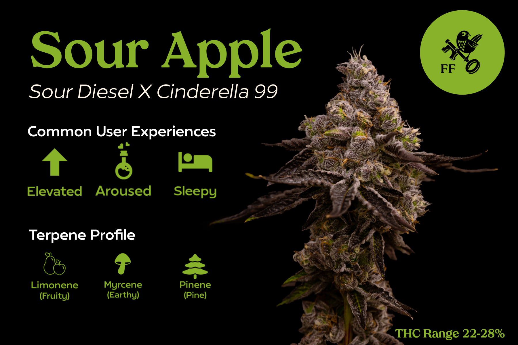 FF - Sour Apple - Front.png