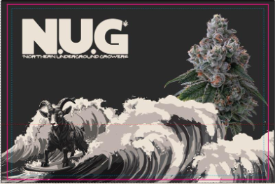 Screenshot 2025-12-29 at 11.05.13 AM.png