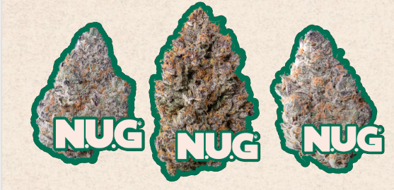 Screenshot 2025-12-29 at 11.05.20 AM.png