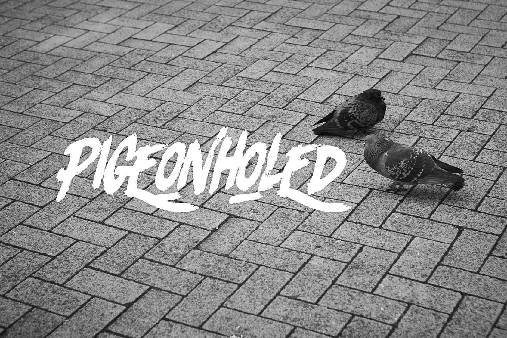 pigeon holed.jpg