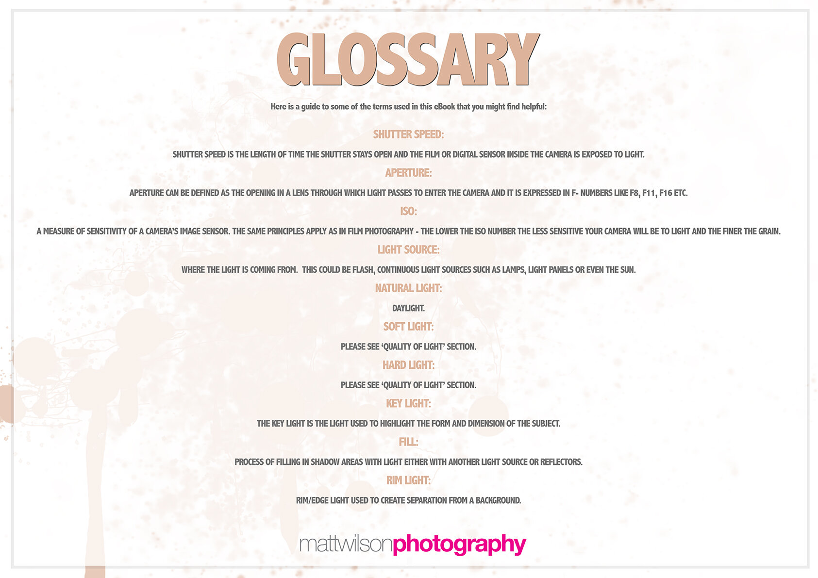 GLOSSARY LANDSCAPE copy.jpg