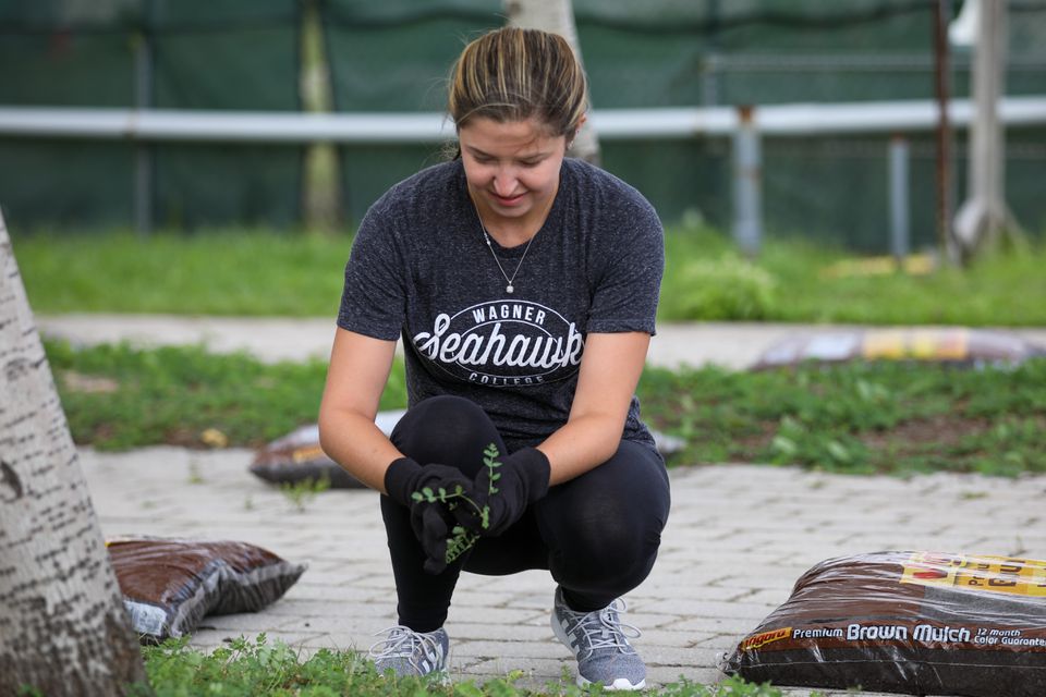 Site Cleanup_2019-5-11 (credit Staten Island Advance-Jason Paderon)21.jpg