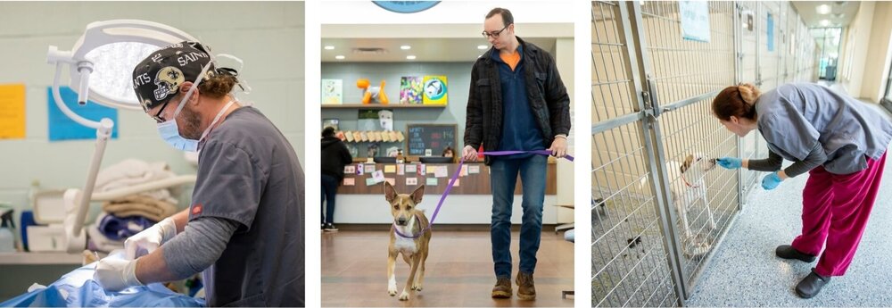 CAREERS — Companion Animal Alliance CAREERS — Companion Animal Alliance