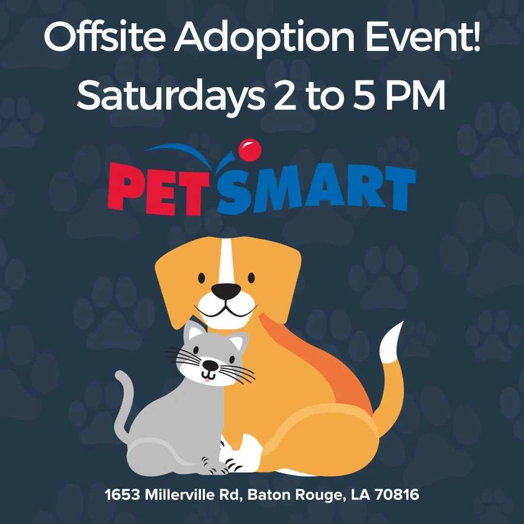 Petsmart Adoptions
