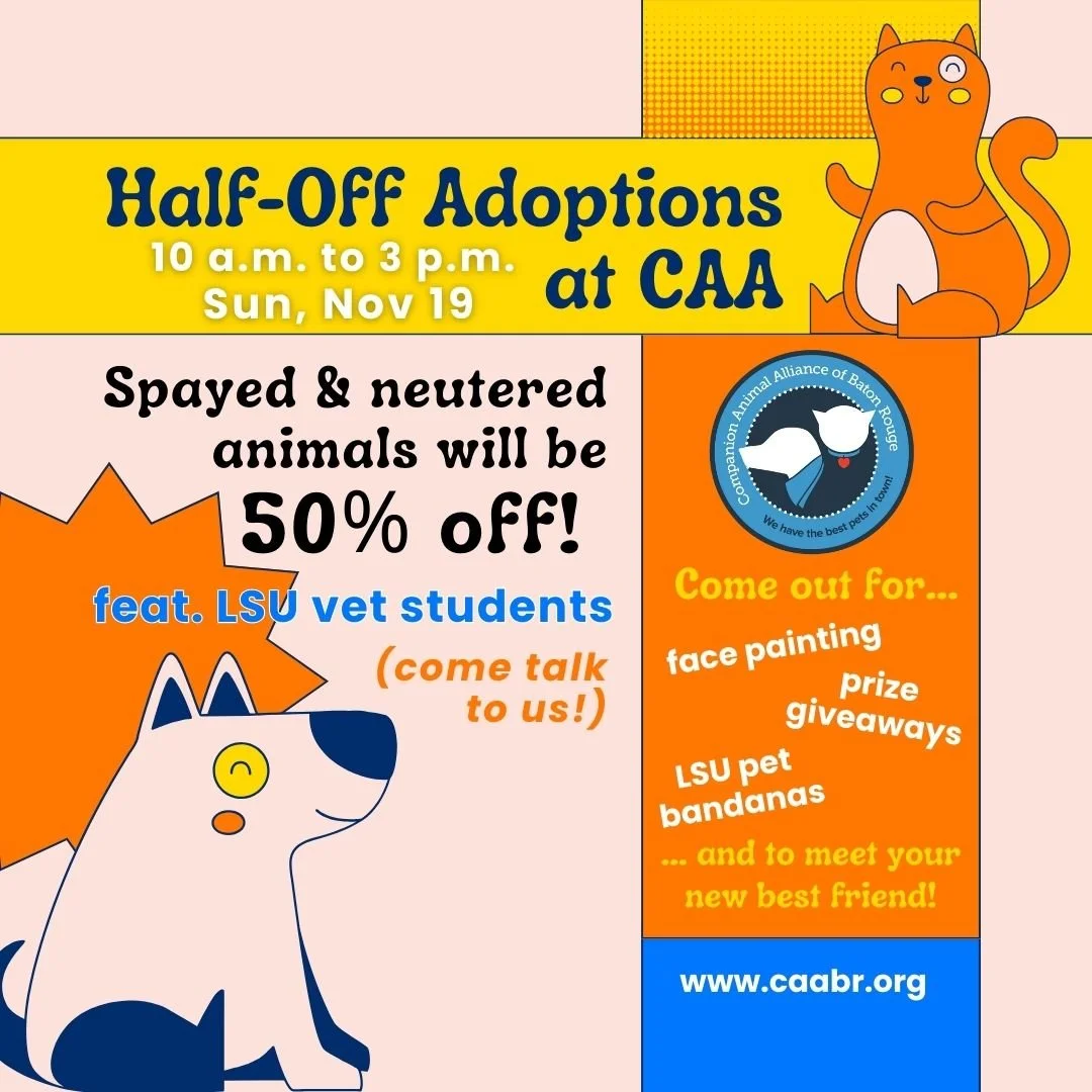 LSU Student American Veterinary Medical Association (SAVMA) Adoption Event