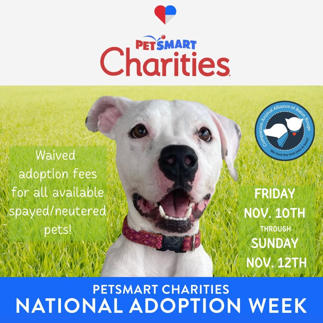 Petsmart Charities National Adoption Week