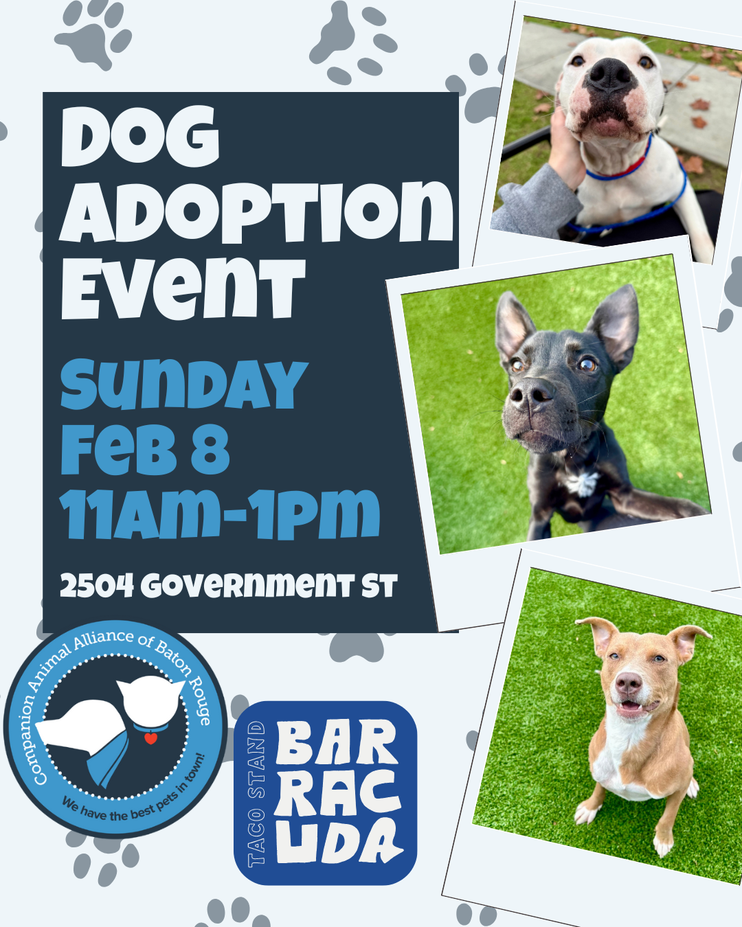 Dog Adoption Event at Barracuda Taco Stand  