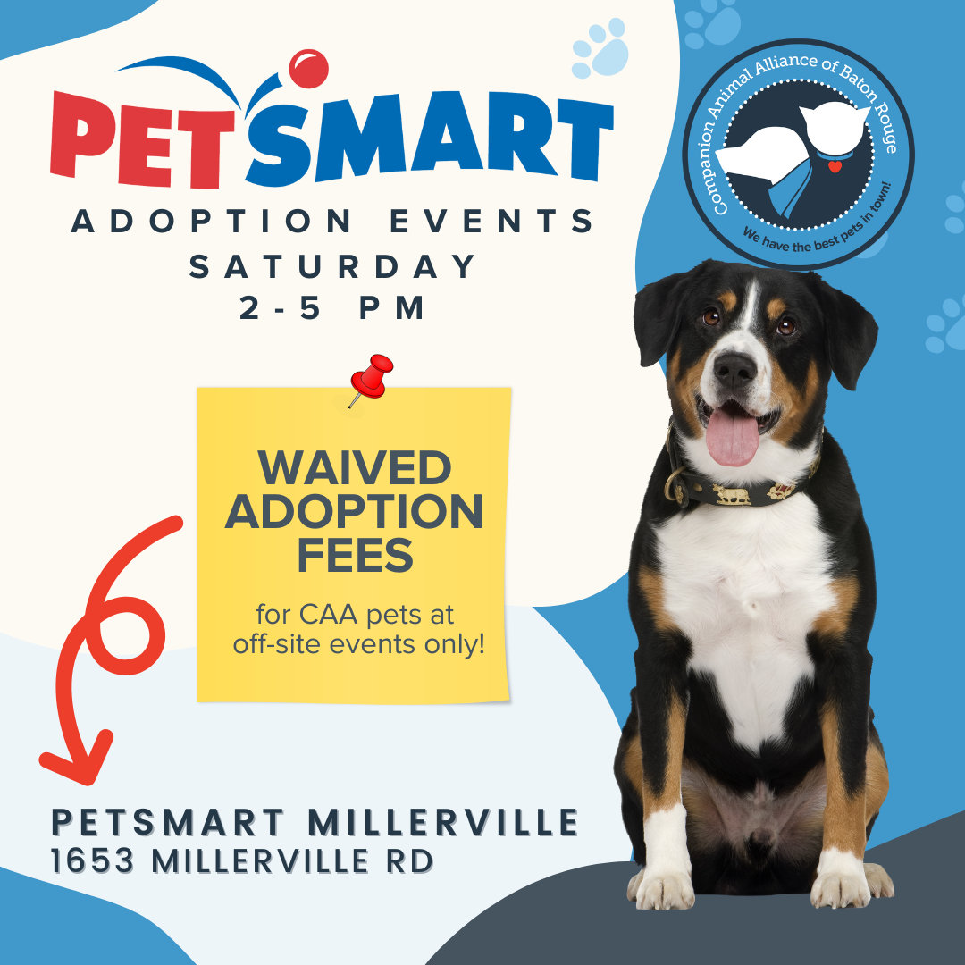 Adoption Event @ PetSmart Millerville          