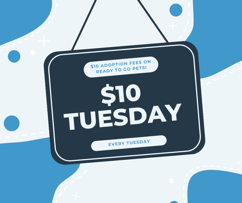 $10 Tuesdays     