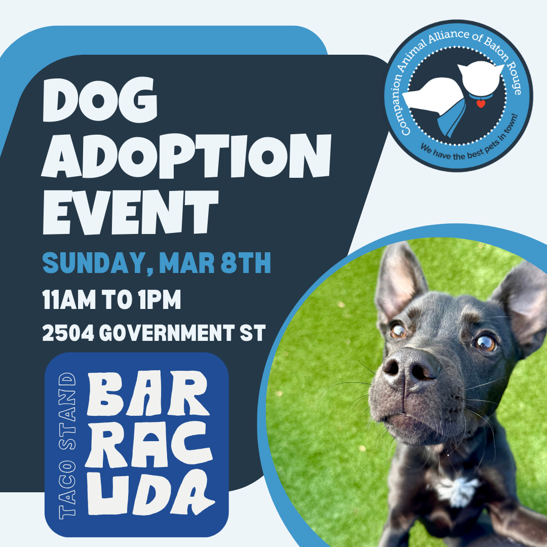 Dog Adoption Event at Barracuda Taco Stand  