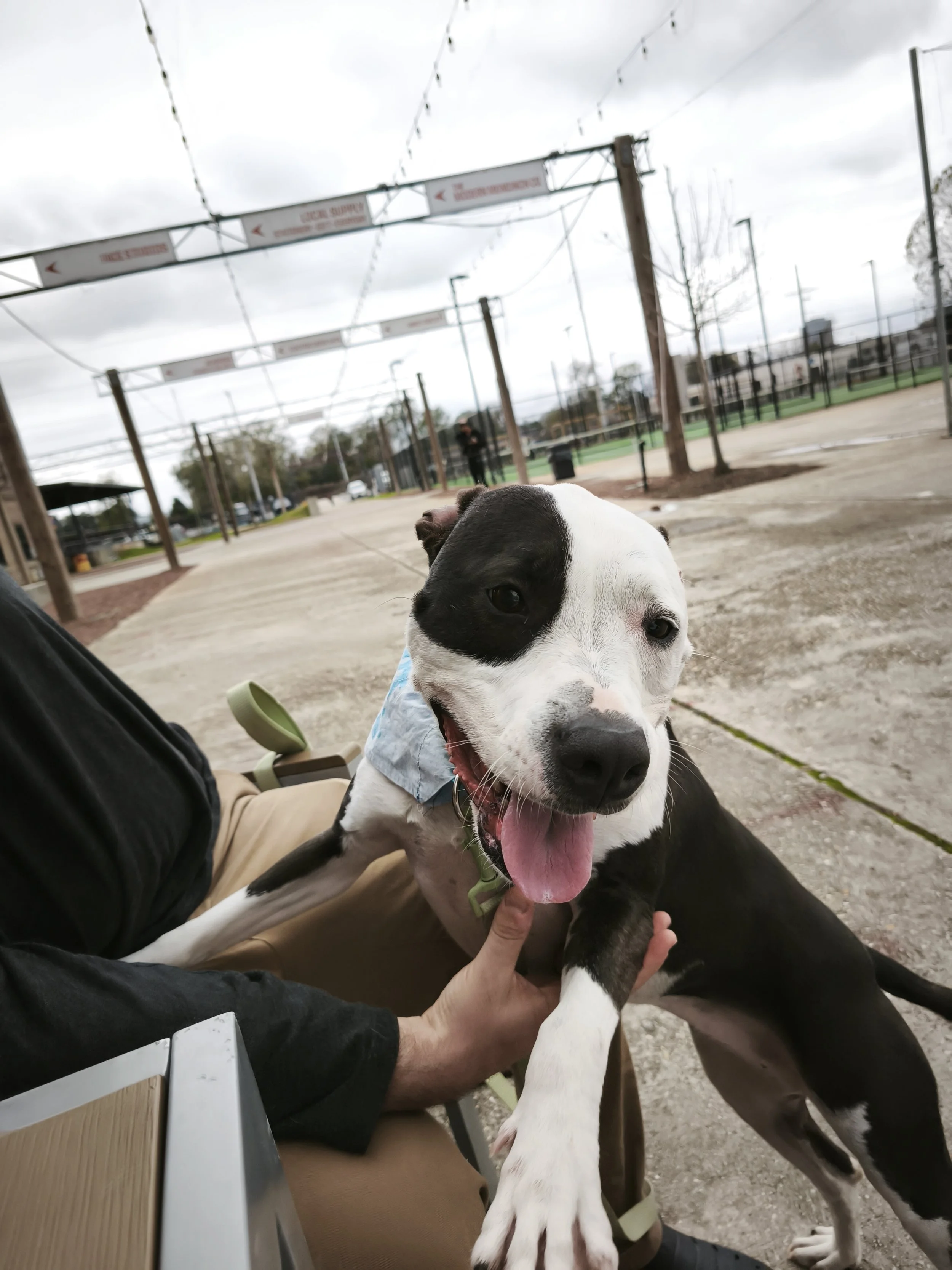 IMG_20260110_134352_1 (1).jpg