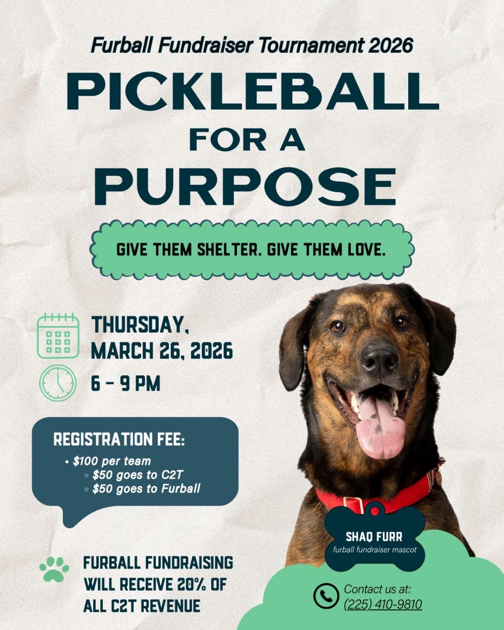 Pickleball Tournament 