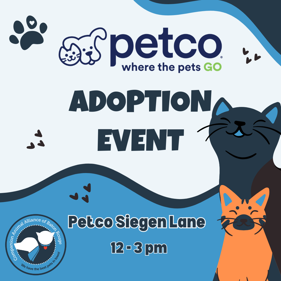 Adoption Event @ Petco Siegen