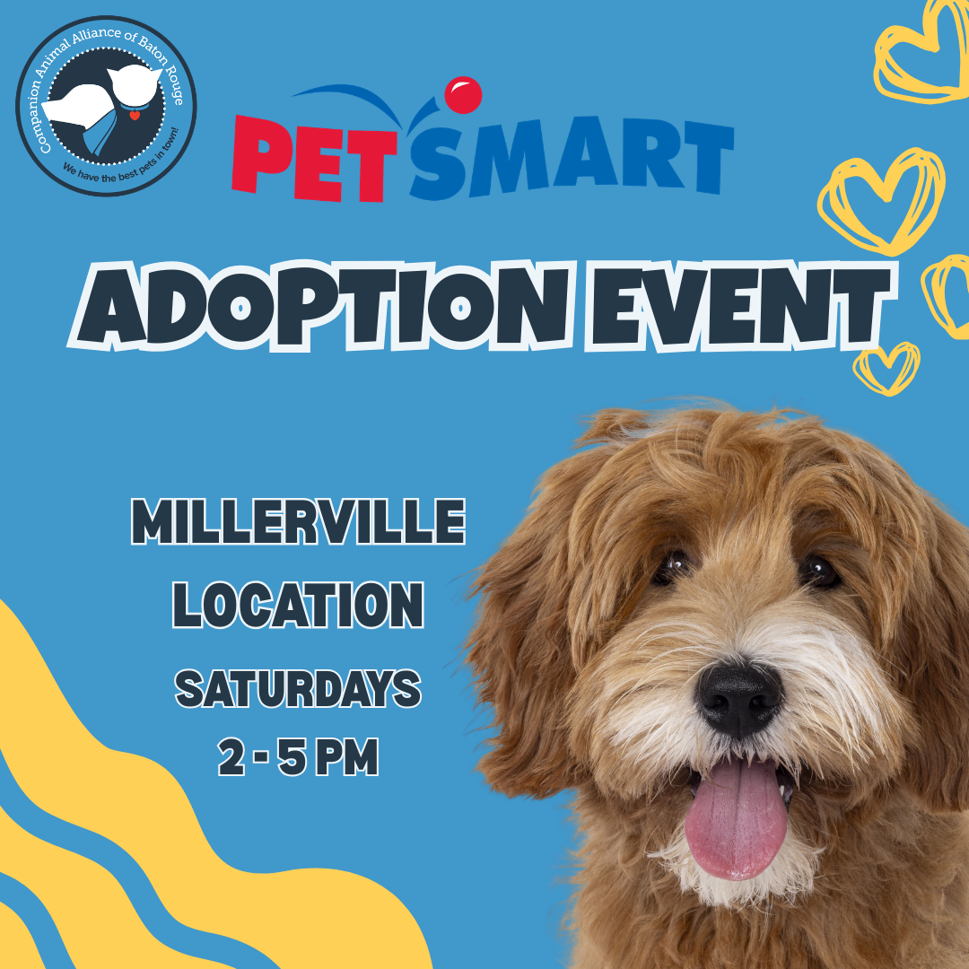 Adoption Event @ PetSmart Millerville     