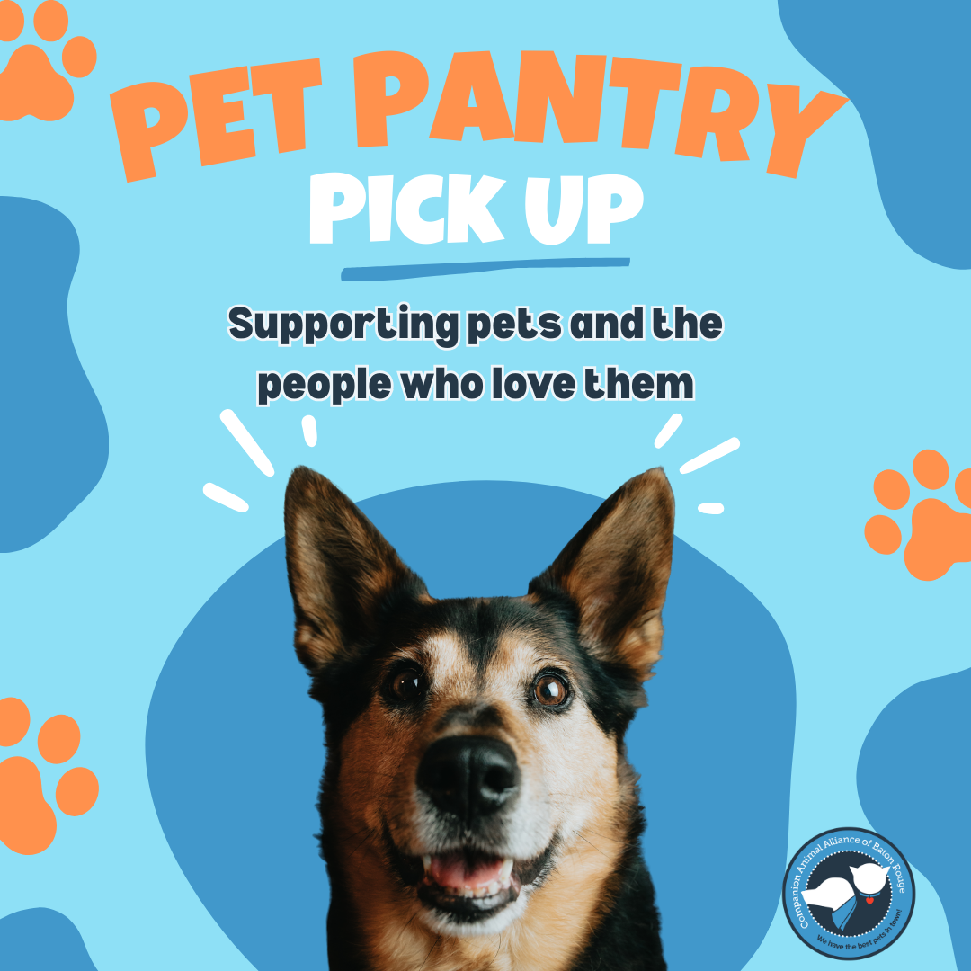 CAA (1080 x 1080 px) (2).png