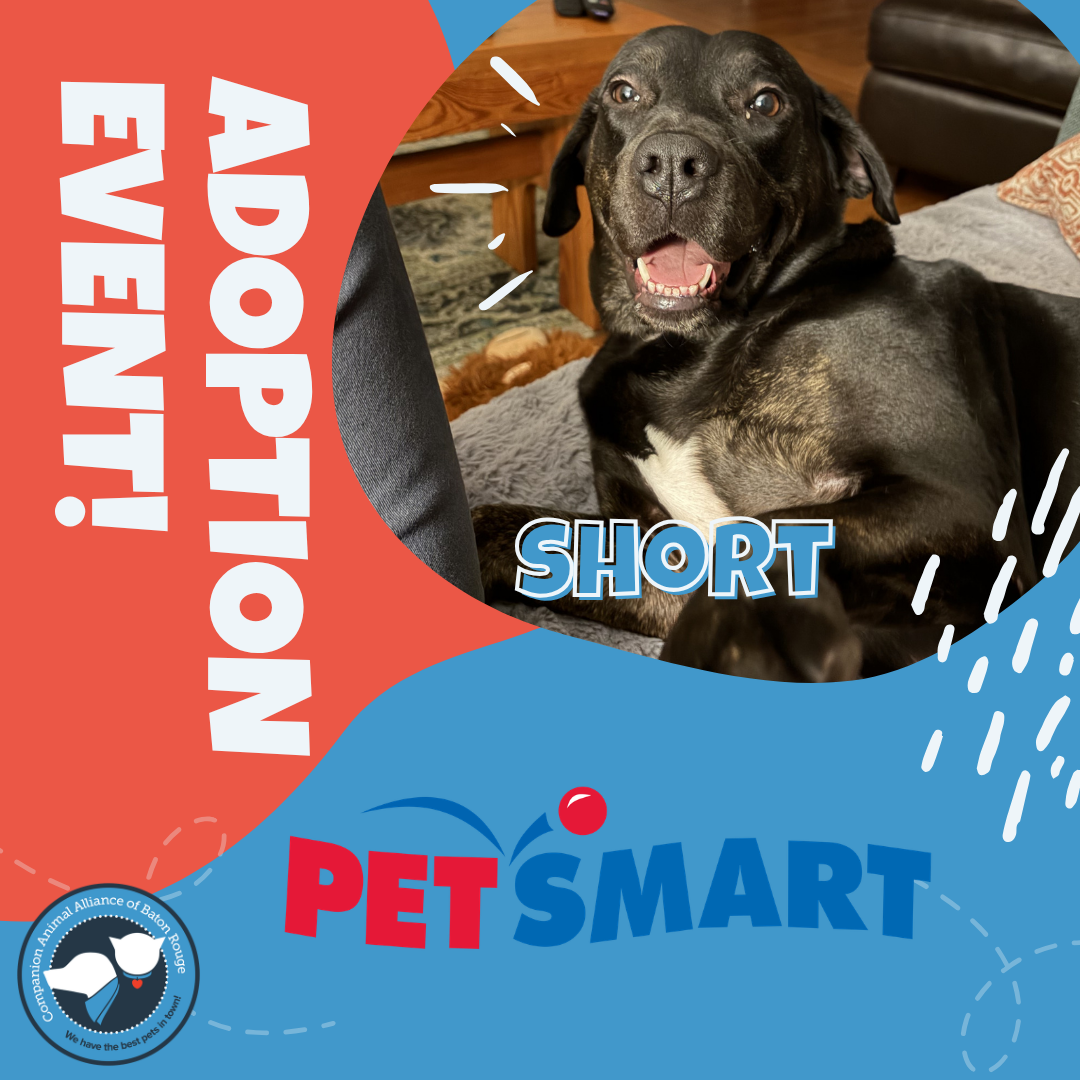 PetSmart Adoption Event!