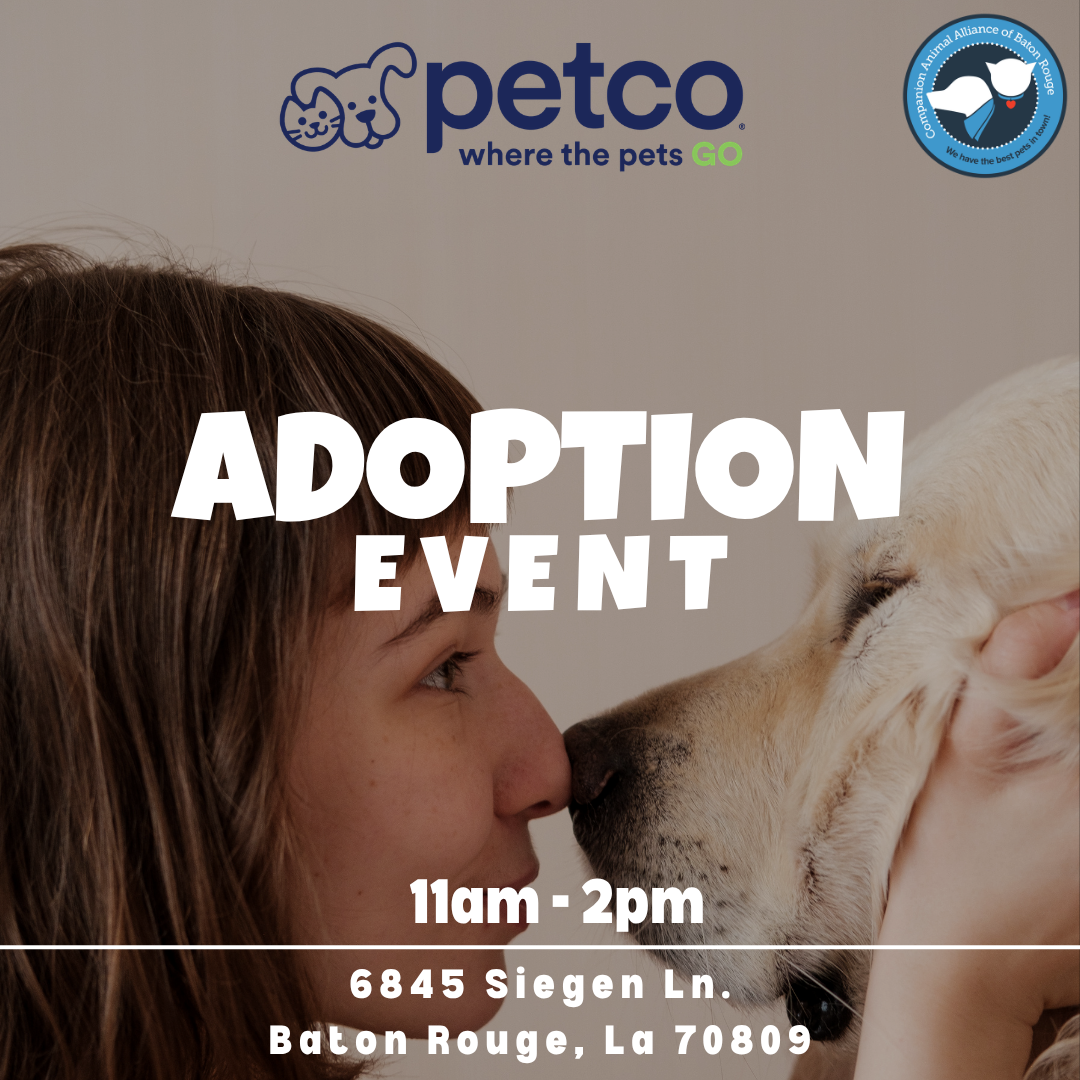 Petco Adoption Event