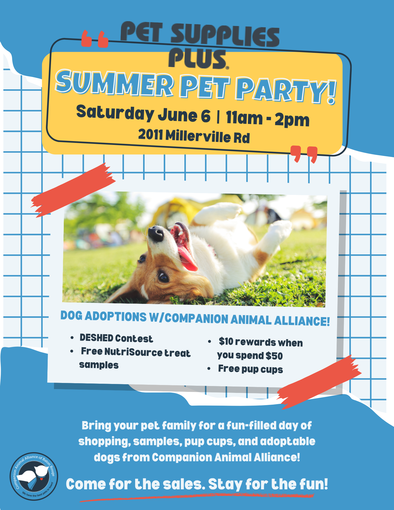 Summer Pet Party