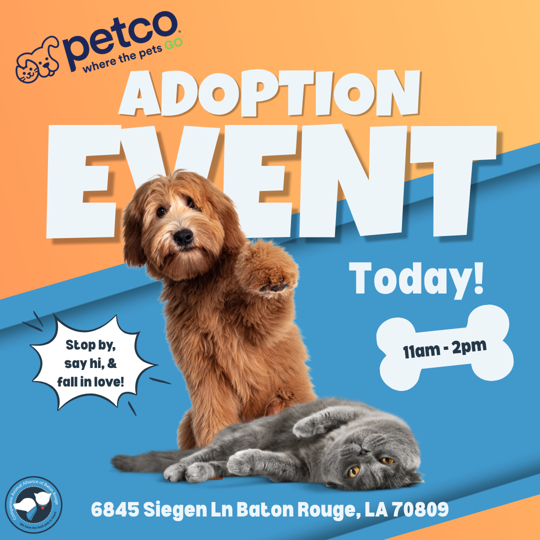 Petco Adoption Event