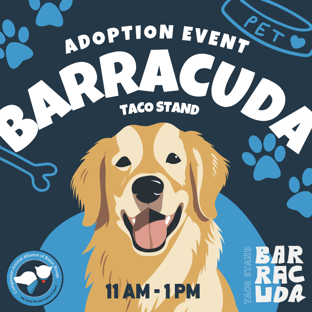 Barracuda Adoption Event