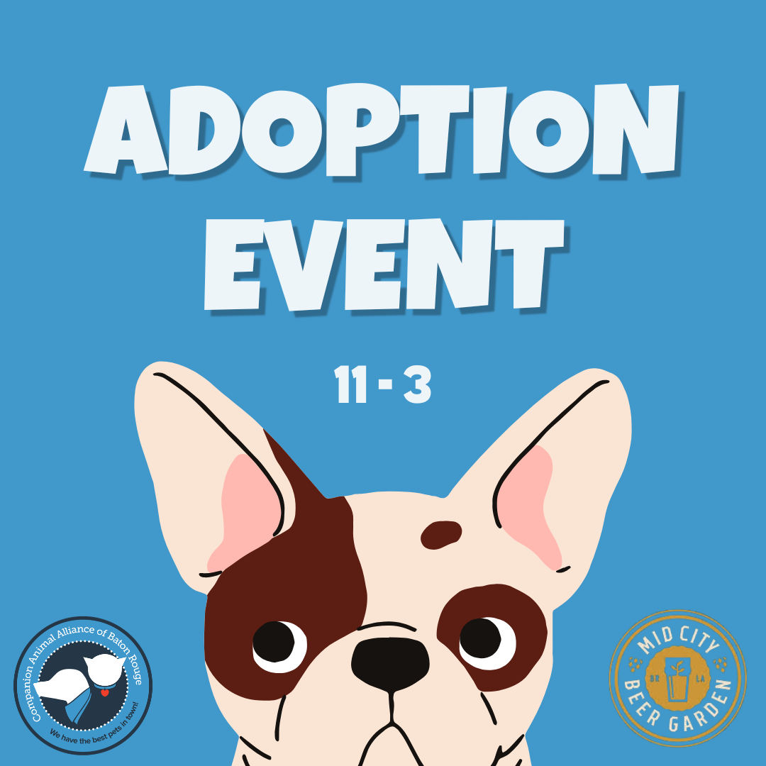 Mid City Beer Garden Adoption Event