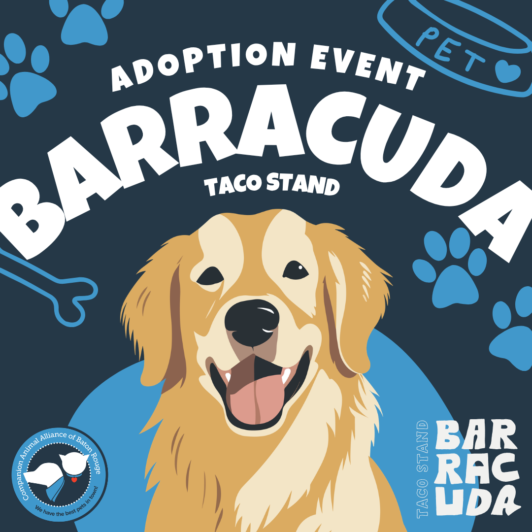 Adoption Event @ Barracuda Tacos