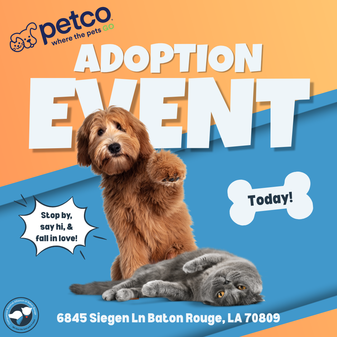 Adoption Event @ Petco Siegen Ln