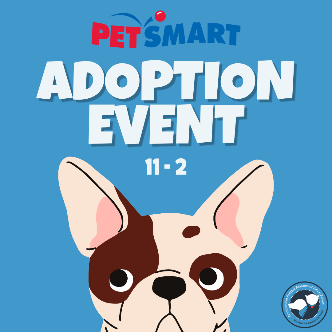 PetSmart Adopt Joy Event