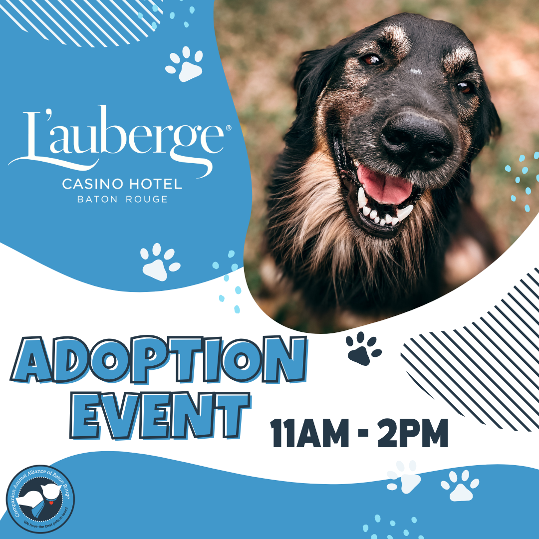 L'auberge Adoption Event